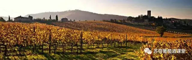 意大利葡萄酒产区知识点之万众瞩目的托斯卡纳