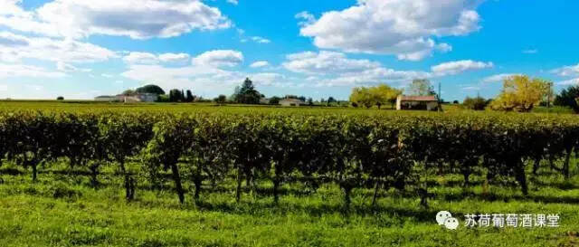 波尔多葡萄酒产区的历史到底是怎么回事儿？