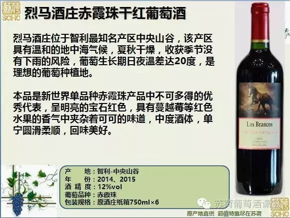 烈马酒庄赤霞珠：新世界单品赤霞珠不可多得的优秀代表