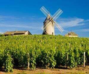 细说法国主要葡萄酒产区
