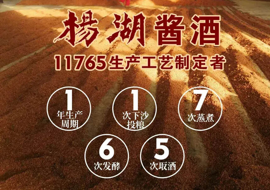 杨湖酱香酒工艺探索与创新——11765 工艺