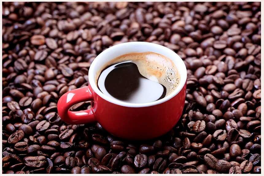 摩洛咖冻干咖啡和速溶咖啡的区别是什么？