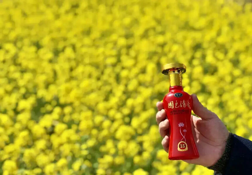 定了，“宝丰酒”杯油菜花乡村旅游节将于3月26日灿烂开幕！