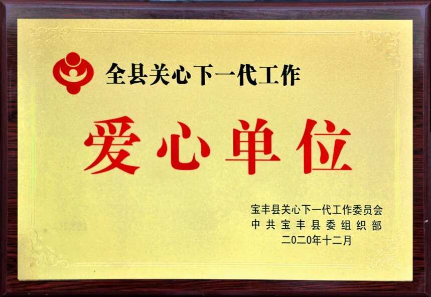 宝丰酒业被授予“全县关心下一代工作爱心单位”荣誉称号