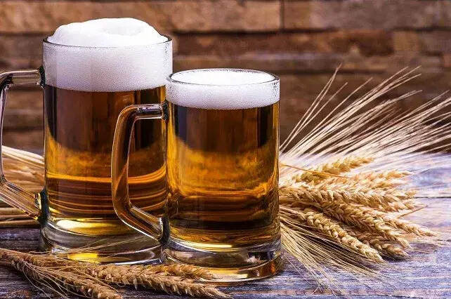 对澳大利亚大麦征收反倾销税，是否形成啤酒涨价压力？
