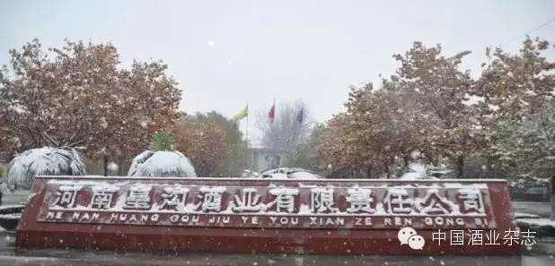 “皇沟古酒窖池”被列入河南省重点文物保护单位