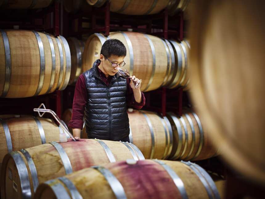 中国葡萄酒探索可持续发展之道，来自中法庄园及迦南酒庄的实践