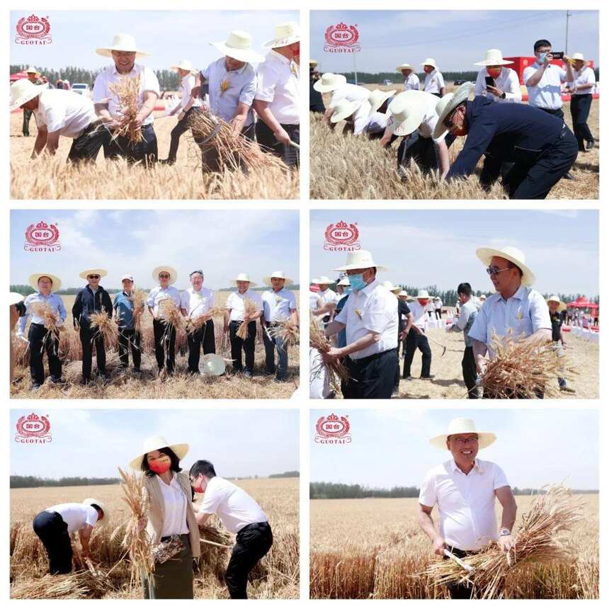国台千里迢迢奔赴河南祭麦，背后是长期主义的品质表达