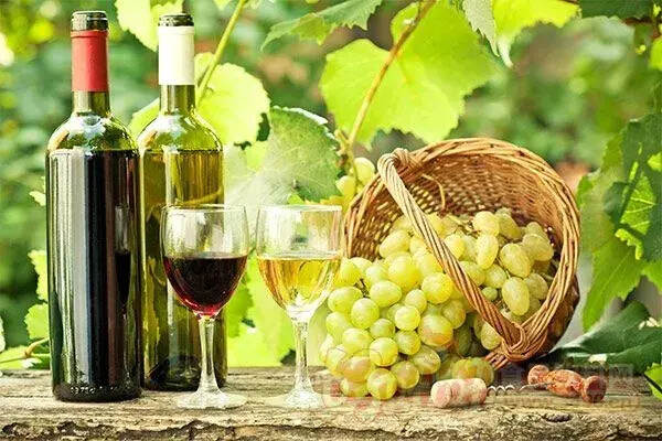 丝绸之路与葡萄美酒