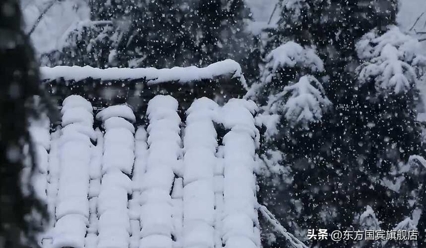 东方国宾：大雪翩跹万籁静，时逢冬尽有酒樽