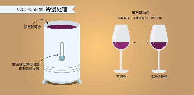 影响葡萄酒风味的6大酿酒工艺