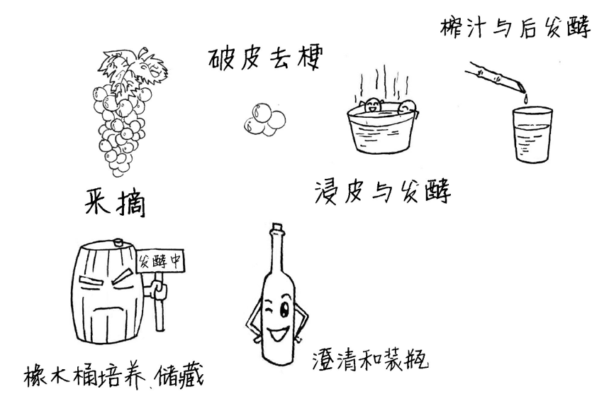 要自信，葡萄酒不是舶来品，早在汉朝就大规模种植葡萄啦