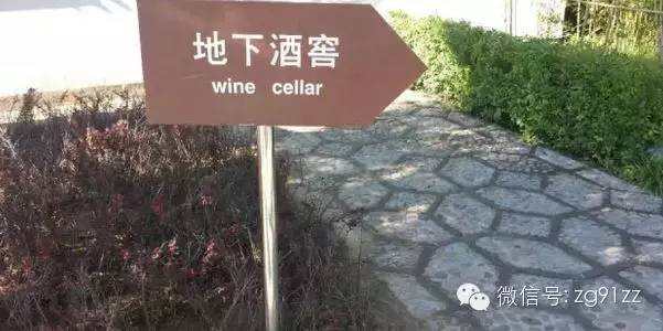 寻找中国葡萄酒“女神”