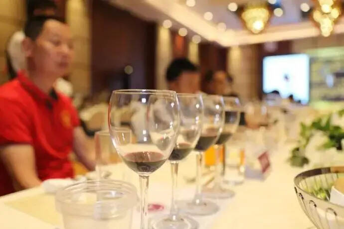 “当惊世界殊”，宁夏开启国产精品葡萄酒品牌建设之路