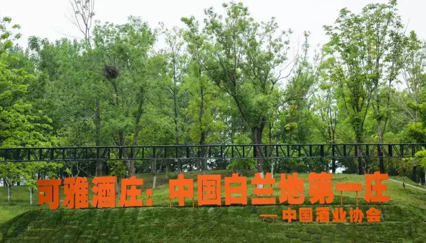 “中国白兰地第一庄”开业 高端白兰地有了中国声音