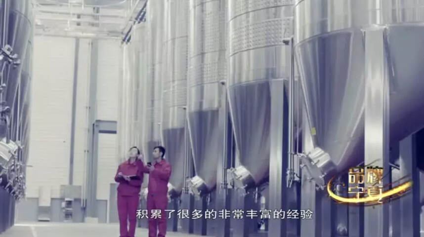 宁夏的风土条件+进口酿酒设备+海归酿酒师=世界顶级葡萄酒