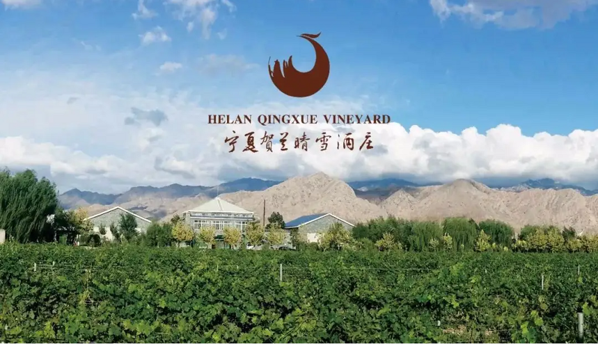 中国葡萄酒产区｜宁夏产区，凭什么能成为中国的波尔多？