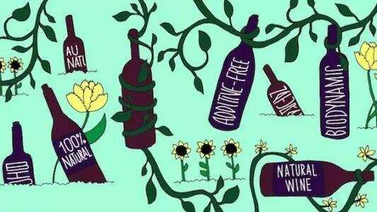品乐PINOR：自然酒专题-瓶中的海枯石烂 所有需要知道的自然酒Q&A
