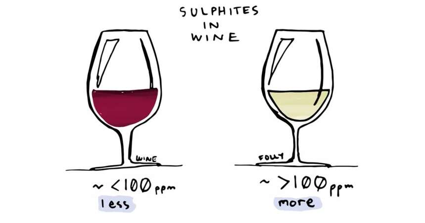 10个事实将彻底改变你对红葡萄酒的看法