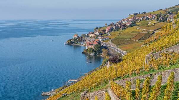小众葡萄酒产区——瑞士葡萄酒产区
