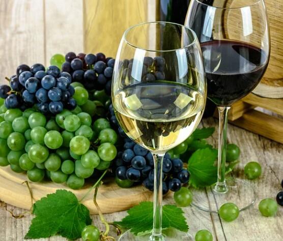 不同地域葡萄酒应该怎么储存？