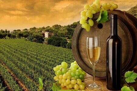 托斯卡纳葡萄酒产区了解多少呢？