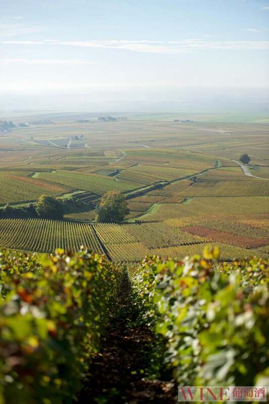 南非葡萄酒产区，你去过吗？