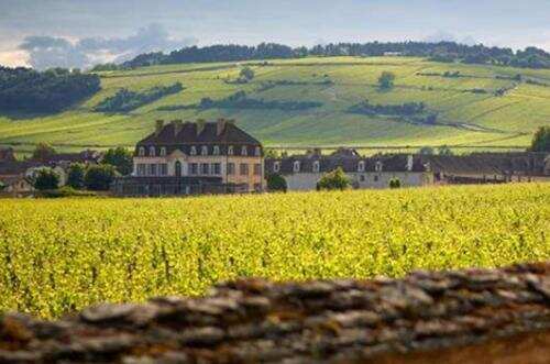 德国的优质白葡萄酒产区详细内容，大家知道阿尔萨斯吗？