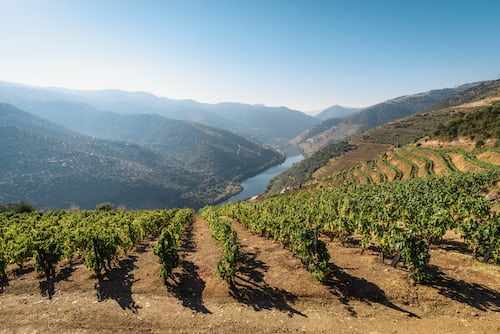 为什么河流是伟大的葡萄酒产区