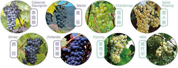 关于葡萄酒与中国菜肴的巧妙搭配我们知道多少呢？