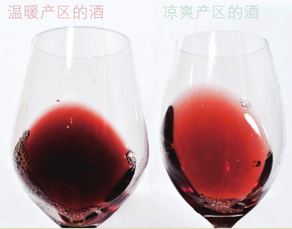 葡萄酒界按气候地区，可将葡萄酒分为热酒和凉酒？