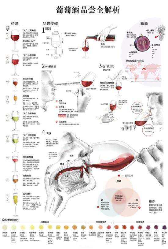 看懂这十幅图，掌握葡萄酒知识不用愁