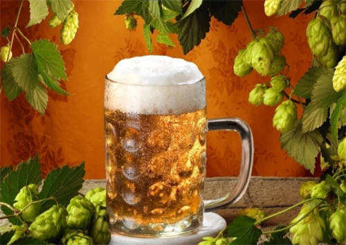 啤酒生产过程色度物质的形成因素「啤酒的颜色主要来源于」