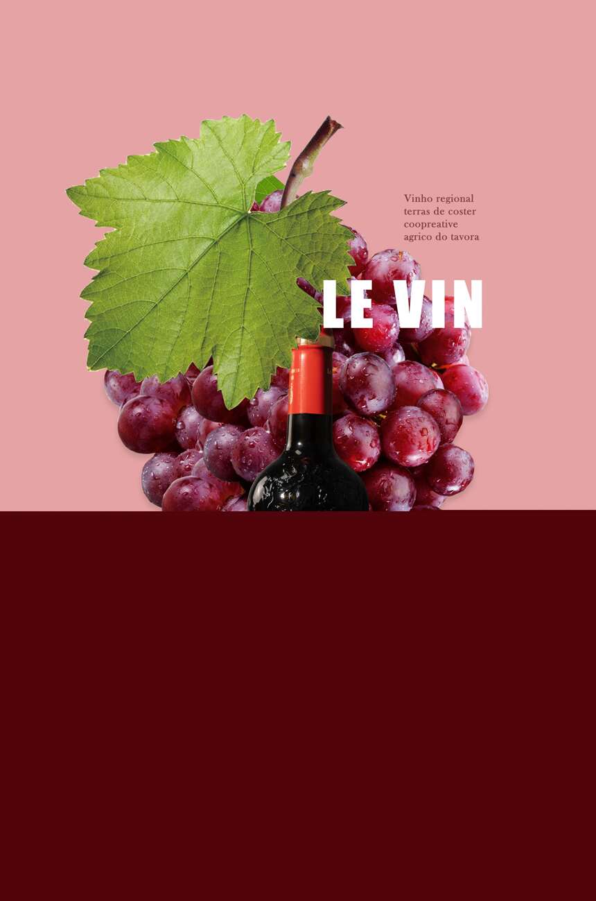 安利大家一款法国高级波尔多红酒——拉图卡梅尔骑士干红葡萄酒!