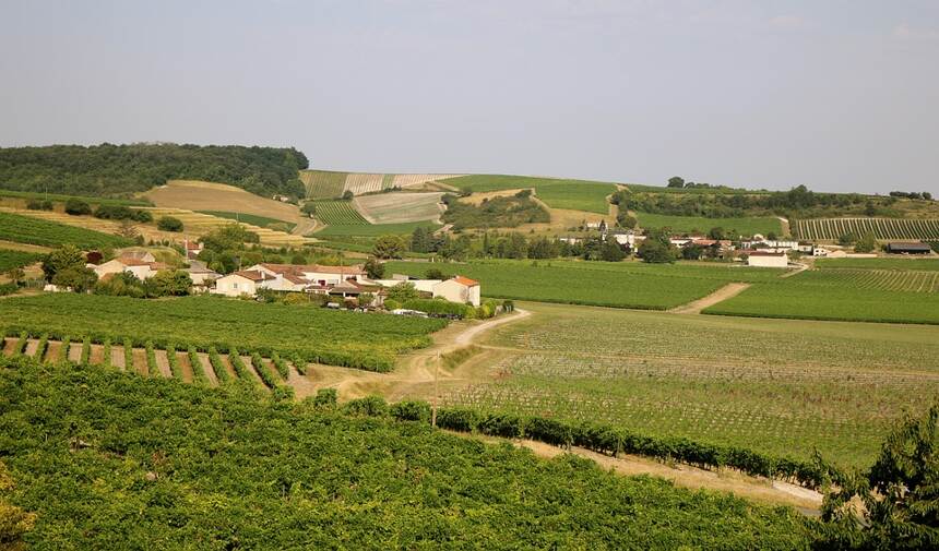 法国拉图尔 Cotes du Roussillon Villages Latour de France