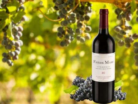 【精品推荐】法国葡萄酒品牌是怎么样的呢？