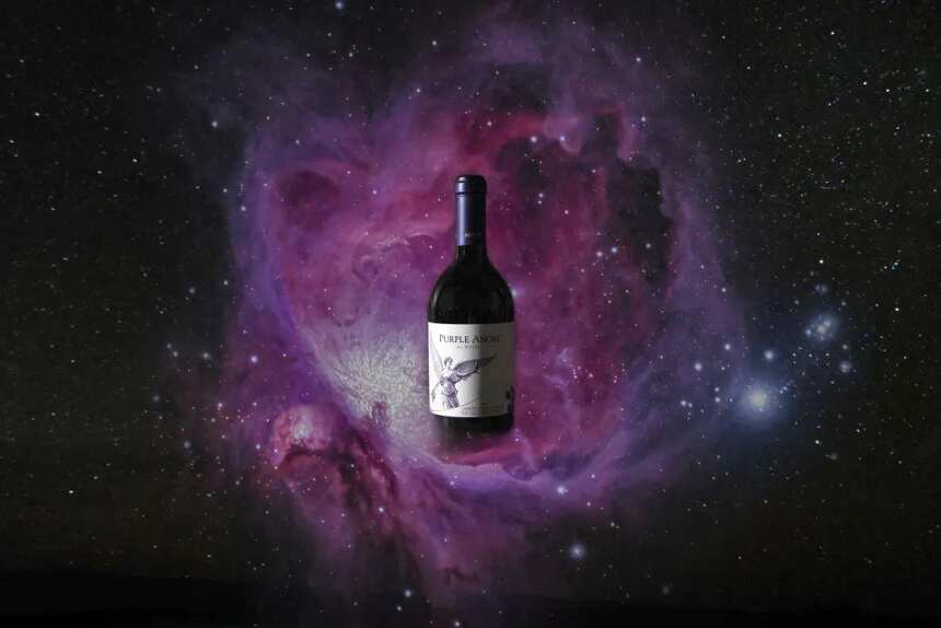 蒙特斯酒庄灵魂葡萄酒——紫天使最新年份亮相魔都！