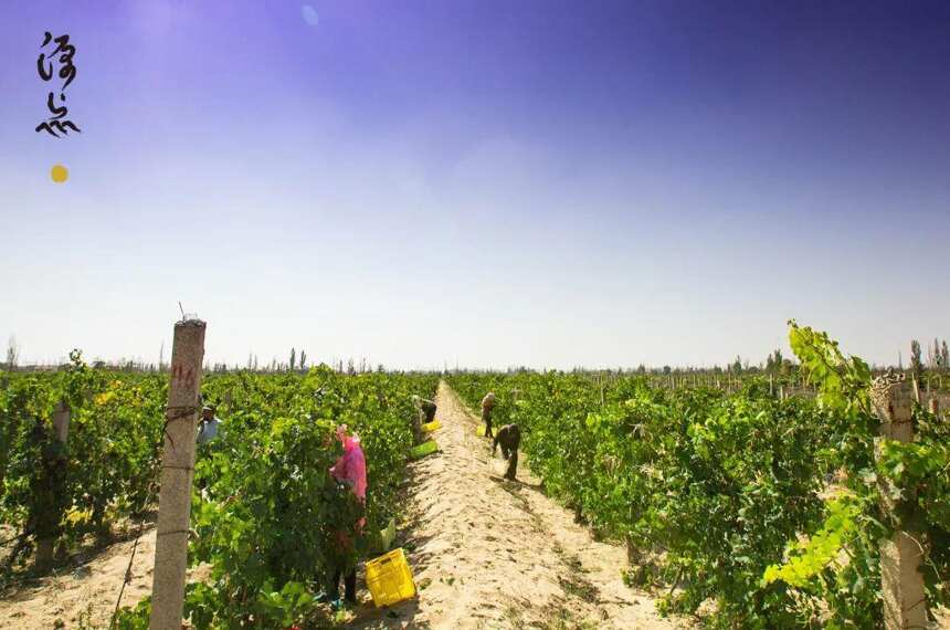 深耕葡萄酒行业二十年，EMW将坚持“长期主义”，开启新征程！