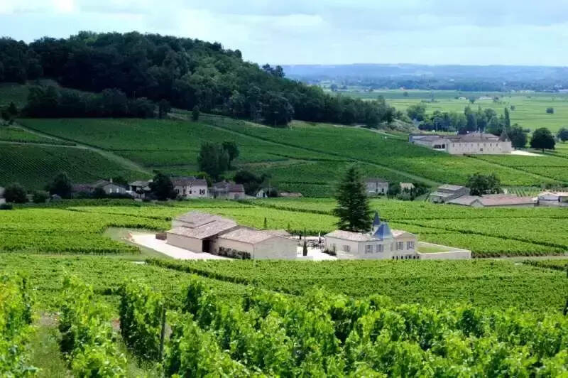 法国红酒产区有哪些（一文速览法国葡萄酒产区）