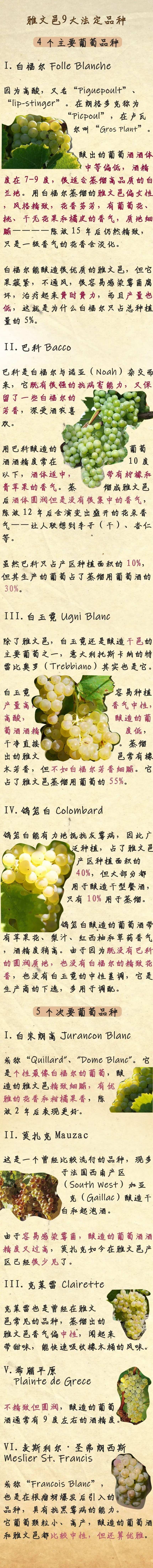 雅文邑科普系列二：详说9大法定葡萄品种