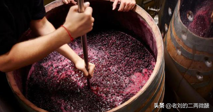 中国哪里的葡萄酒最好？新疆、山东、宁夏上榜，酒友：家乡的最好