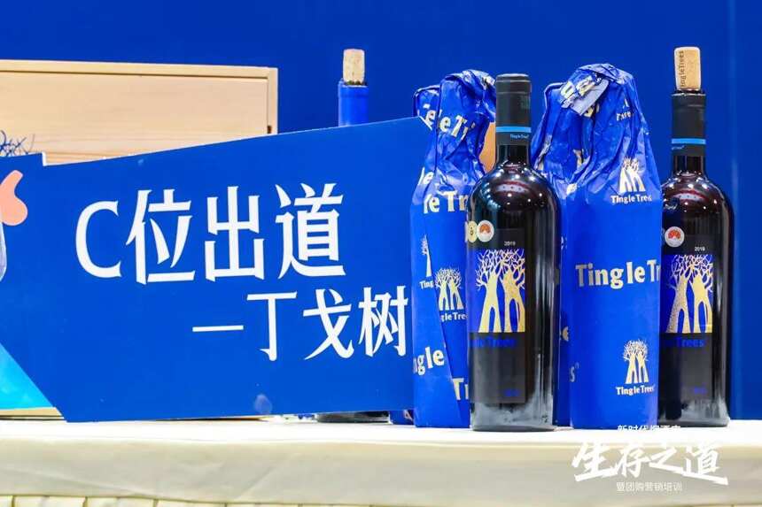 5年卖出一亿瓶！丁戈树战略新品上市发布会在天津召开