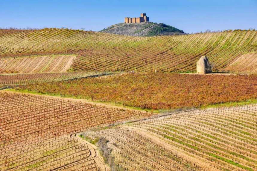 西班牙葡萄酒新趋势：以可持续发展理念打造精品葡萄酒