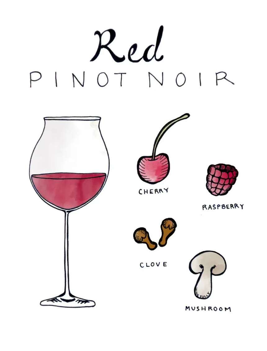 黑皮诺 - 一个红葡萄品种是如何酿造白葡萄酒、桃红以及起泡的？