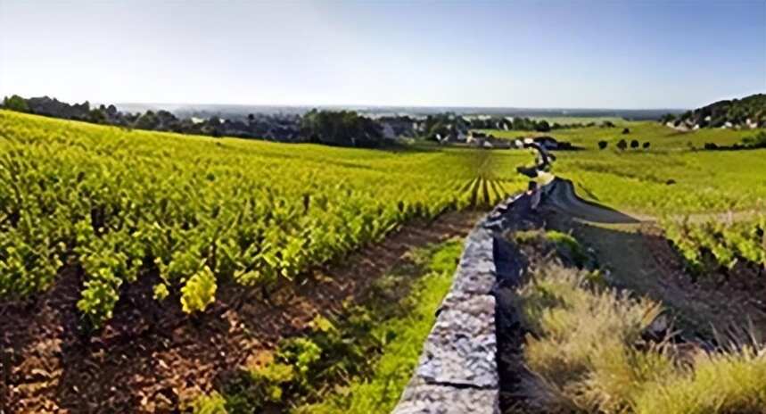 世界上最讲究风土的葡萄酒圣地-勃艮第葡萄园区分级介绍：上篇