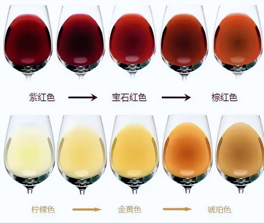 品鉴葡萄酒为什么要看颜色